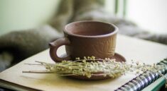 books, cup, herbs